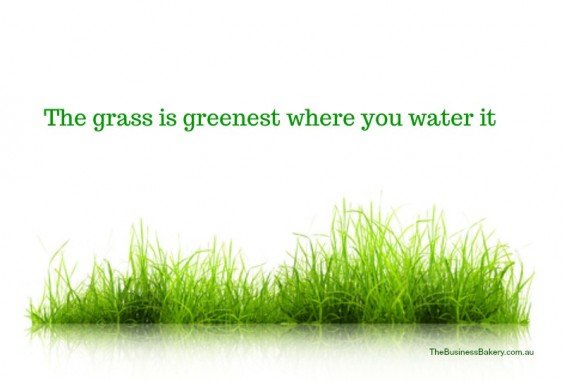 The grass is greenest where you water it